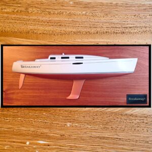 Type_1_Half_Hull_Model-step1